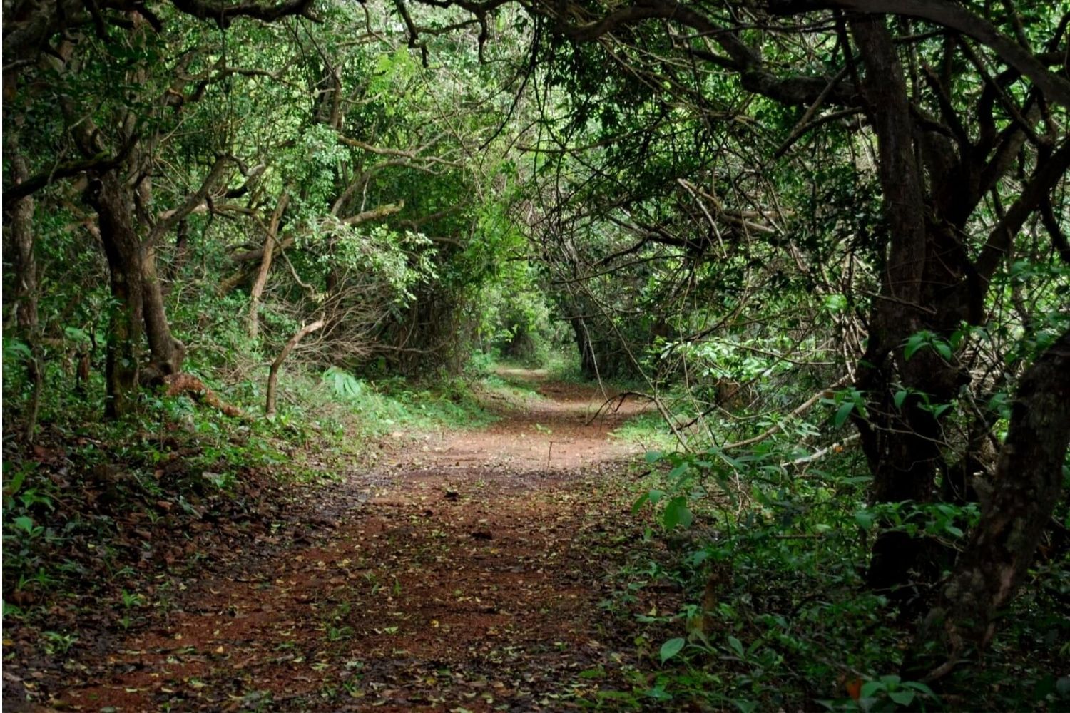 Phansad Wildlife Sanctuary